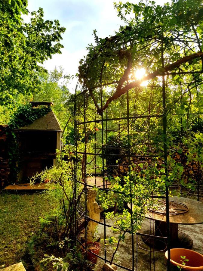 Bed and Breakfast La Scierie Кіян Екстер'єр фото